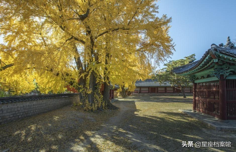双鱼座适合和什么星座的人谈恋爱（ 有关双鱼座最佳搭配恋爱关系介绍）